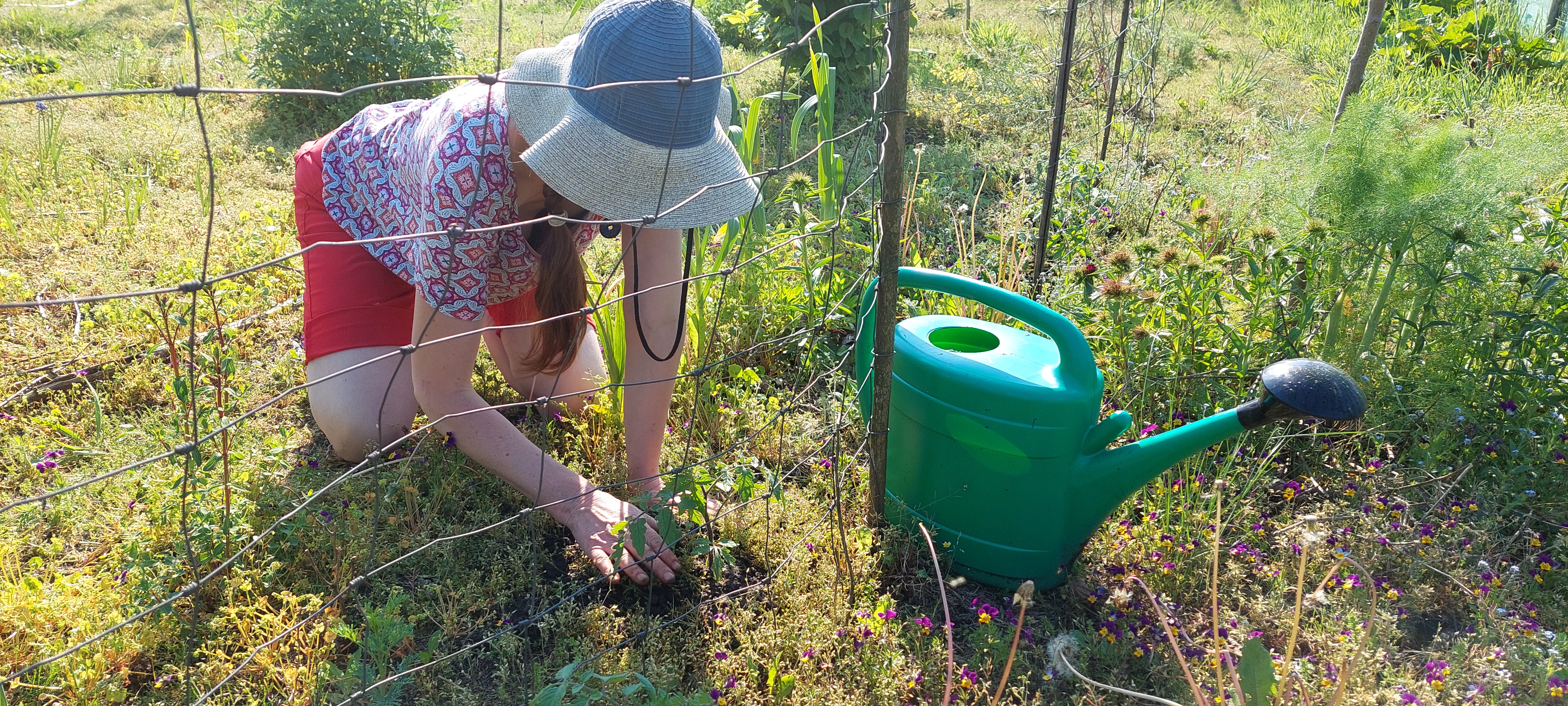 Maartje in de moestuin